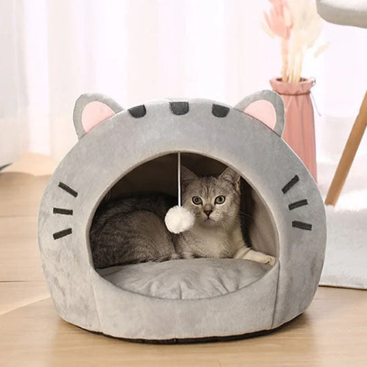 niche-pour-chat-blog
