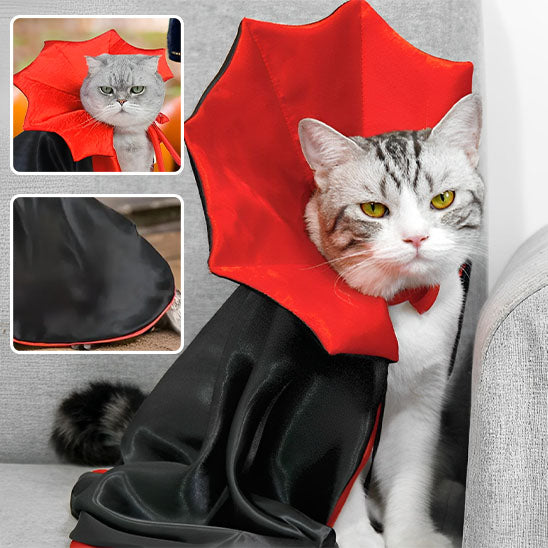 DraculaCat™ | Déguisement d'Halloween