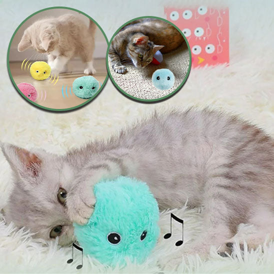 FluffyBall™ | Balle interactive pour chats