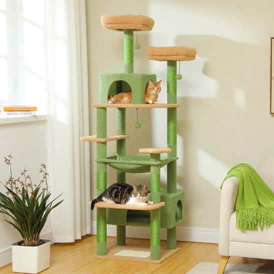 Arbre a chat coin paisible catcanopy