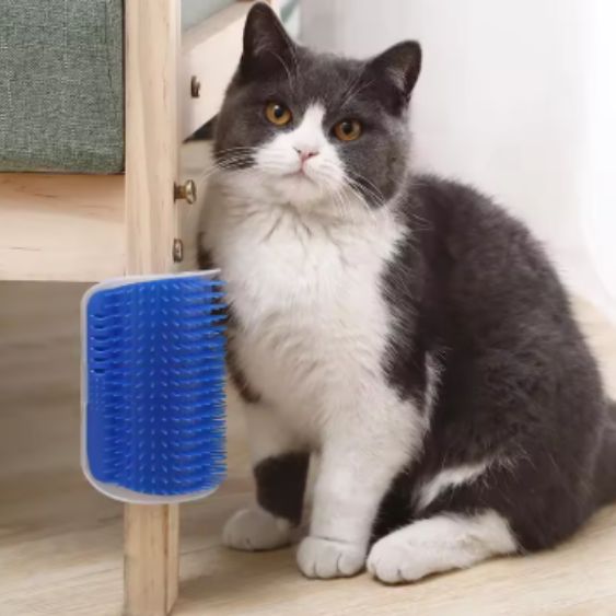 brosse-chat-bleu-ezbrush