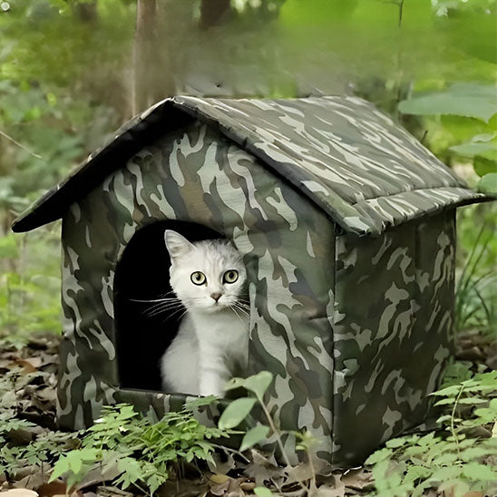 cabane chat foret discrete felineforest