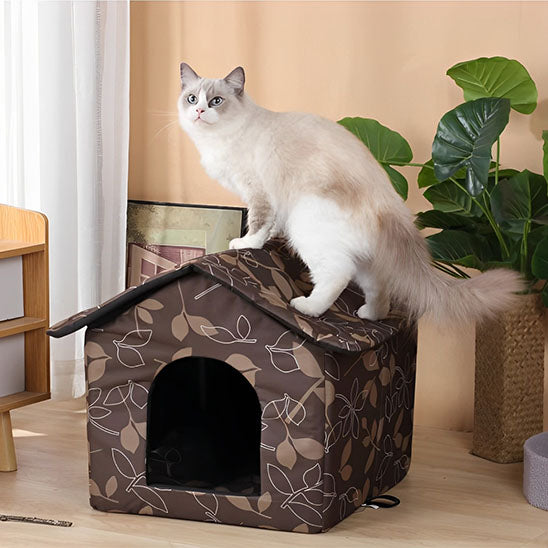 cabane chat salon felineforest