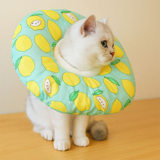 collerette-chat-citron-mignon-safepaws