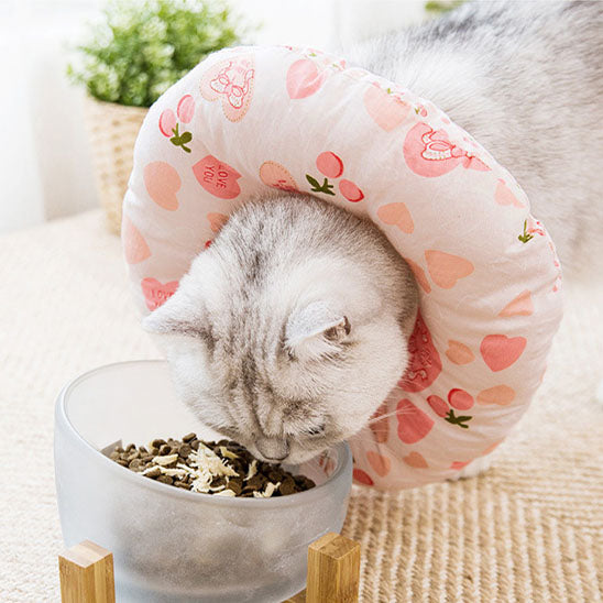 collerette-chat-douce-cerise-safepaws