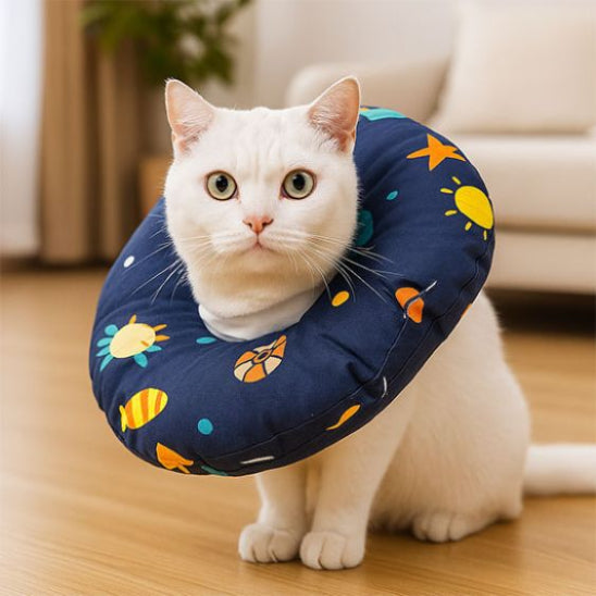 collerette-chat-espace-cosmo-safepaws