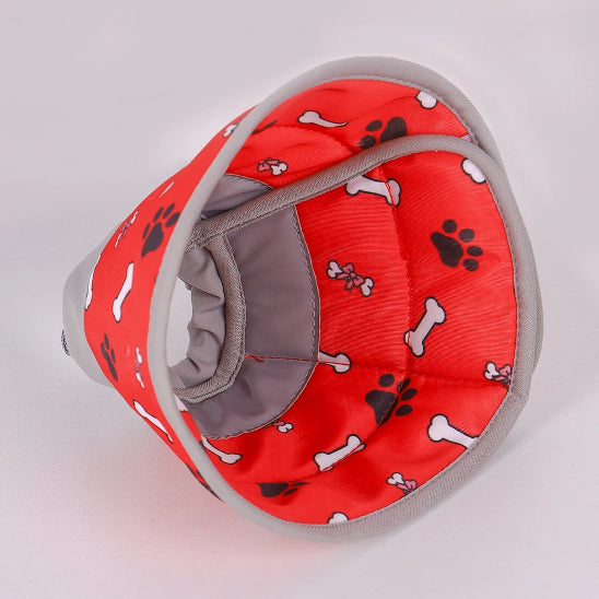 collerette chat oscar la patte cozyshield