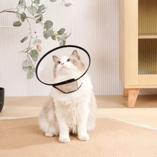 collerette design petshield