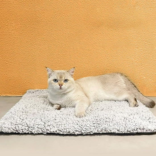 coussin a chat bien etre mewmat