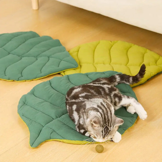 coussin a chat douceur botanipaw