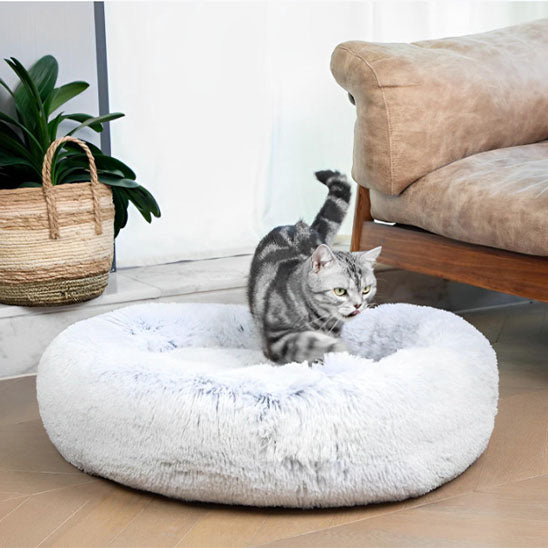 coussin-chat-blanc