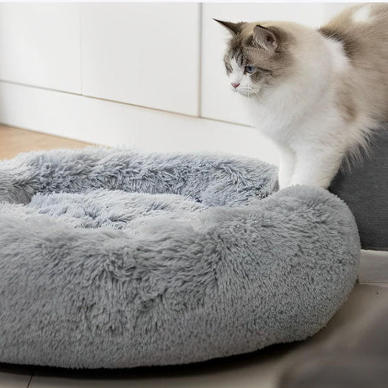 coussin-chat-doux-et-confortable