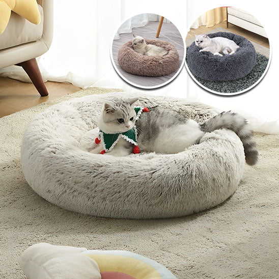 coussin-chat-vert