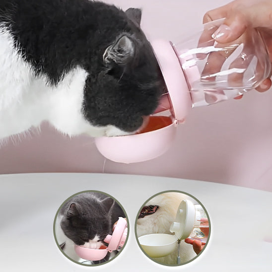 distributeur eau chat essentiel mewsip