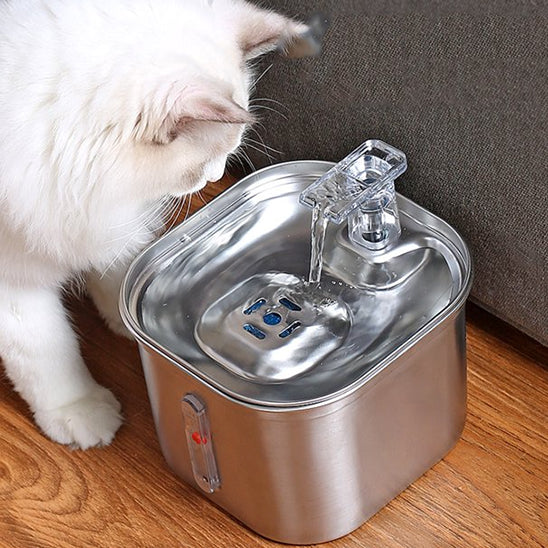 fontaine a eau chat acier inoxydable whiskerwell