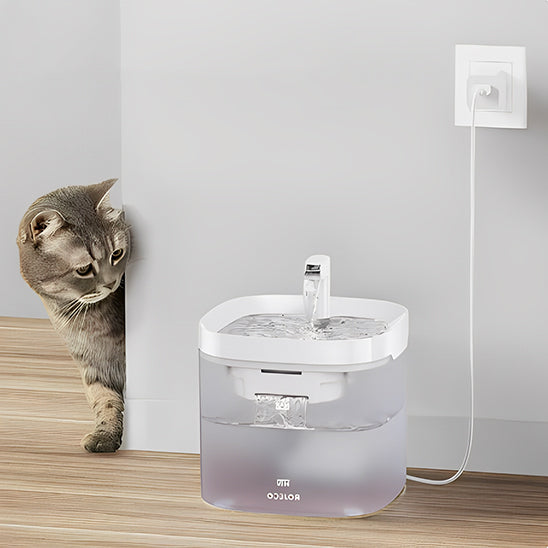 fontaine a eau chat curiosite kittysip