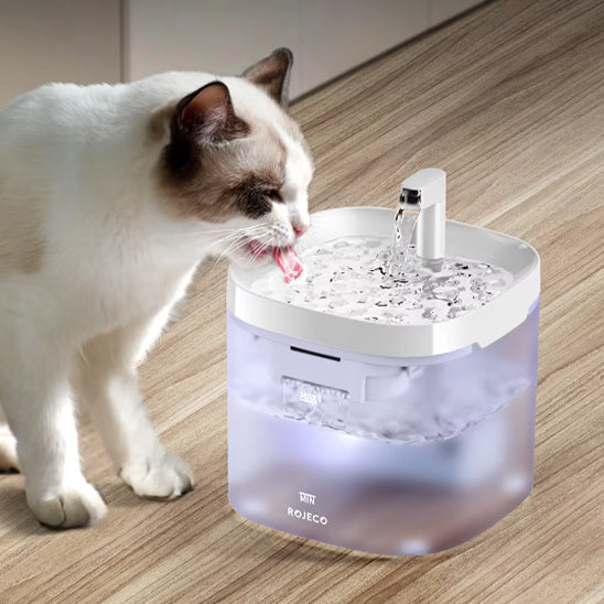 fontaine a eau chat design kittysip