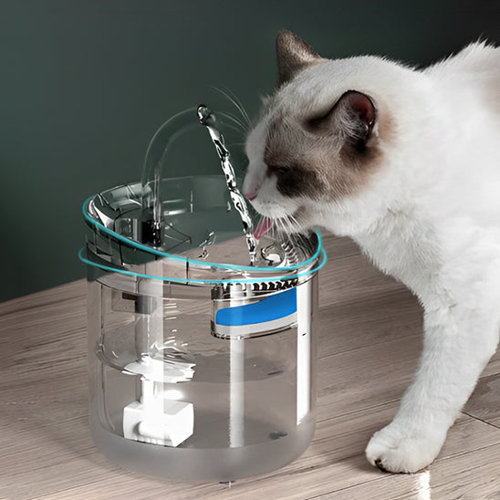 fontaine a eau chat eau pure pawtain