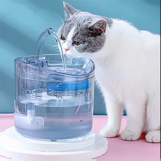 fontaine a eau chat silencieuse pawtain