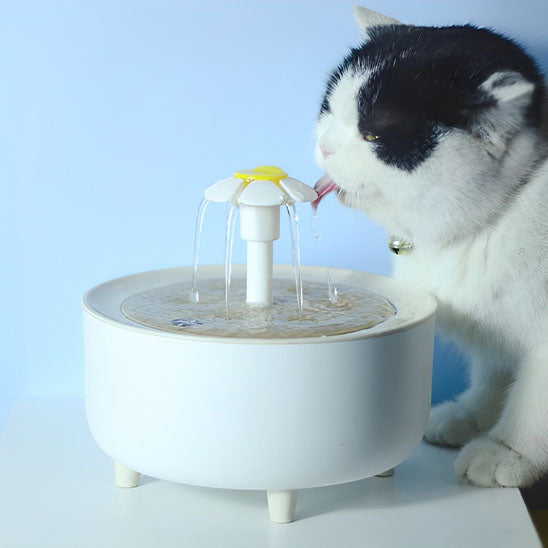 fontaine a eau pour chat debit constant hydrokit