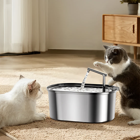 fontaine a eau pour chat eau cristaline hydropet