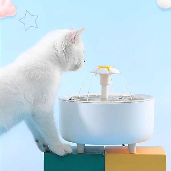 fontaine a eau pour chat filtration hydrokit
