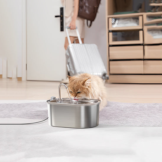 fontaine a eau pour chat hydrate hydropet