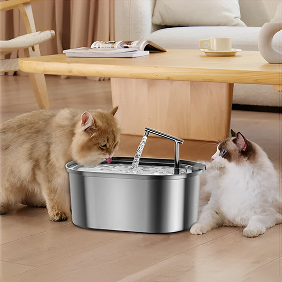 fontaine a eau pour chat salon hydropet
