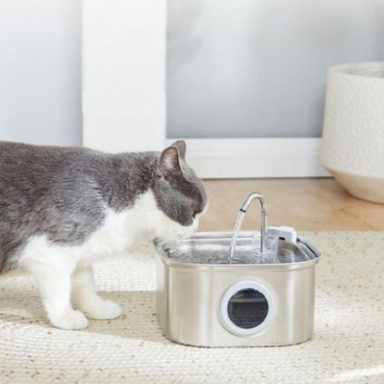 fontaine chat hydratation aquasense