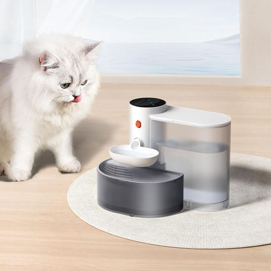 fontaine eau chat purete kittydrip