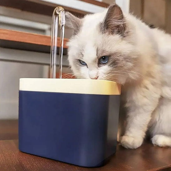 fontaine eau chat qualite freshtail