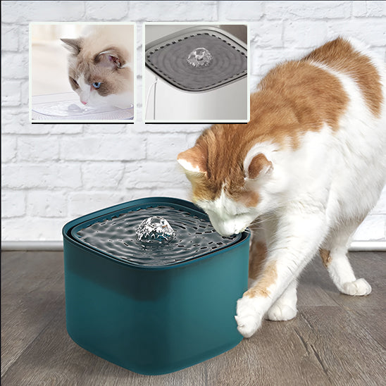 fontaine pour chat eau pure felinestream
