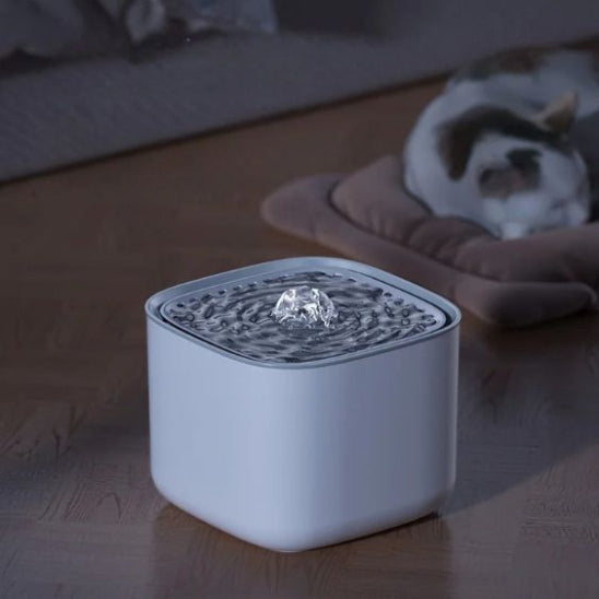 fontaine pour chat silencieux felinestream