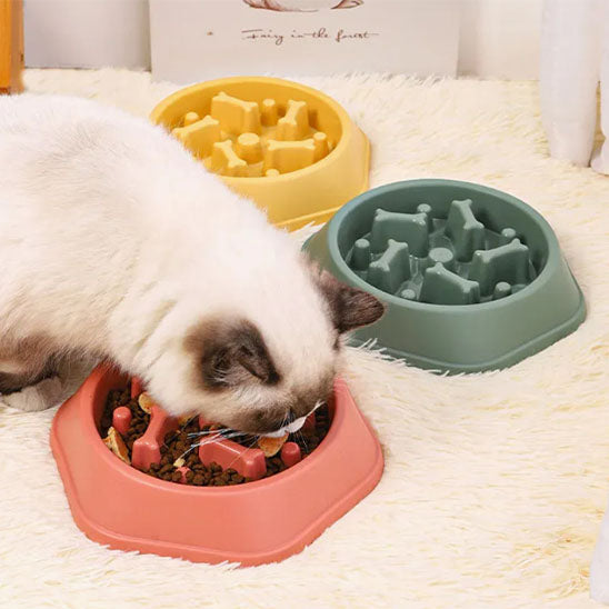 gamelle anti glouton alimentation lente meowderate