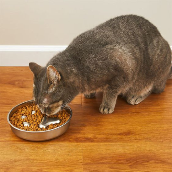 gamelle anti glouton alimentation lente pacepaw