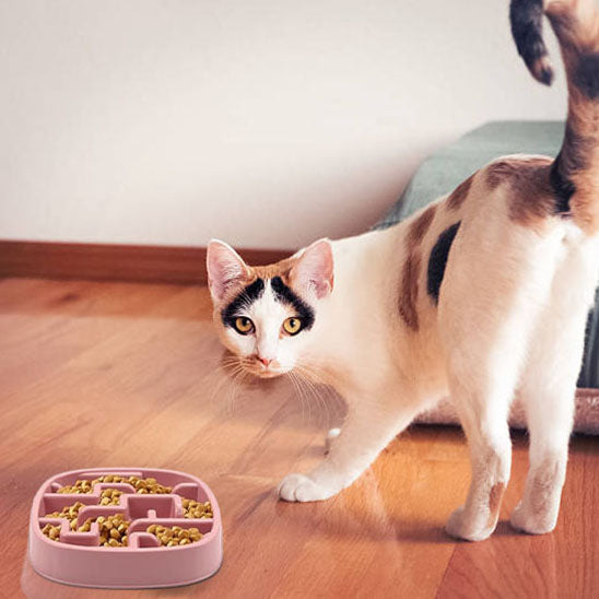 gamelle anti glouton chat sante pawslow