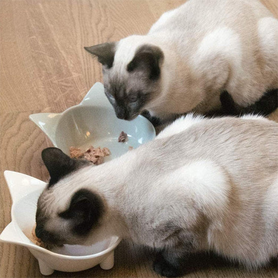 gamelle chat bonheur vitalbowl