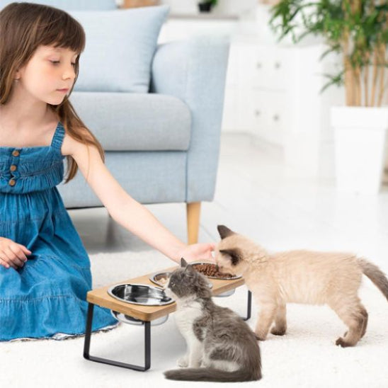 gamelle chat surelevee 3 en 1 kittyup