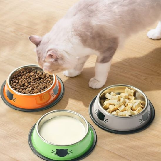 gamelle chat variete kittyfeast