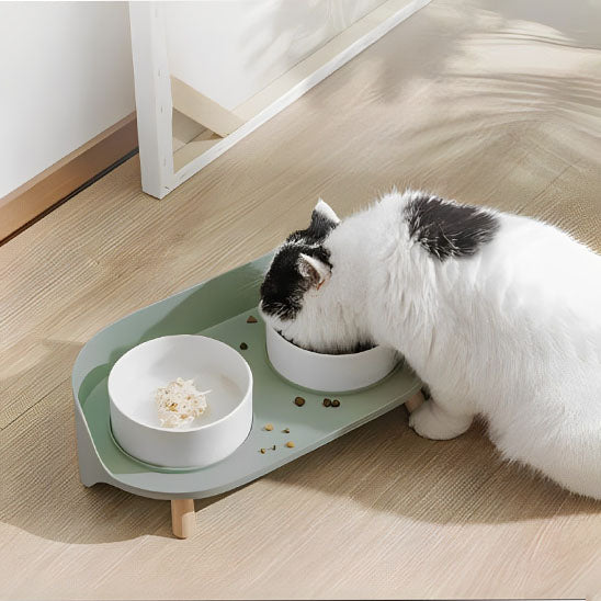 gamelle pour chat anti renversement splashguard