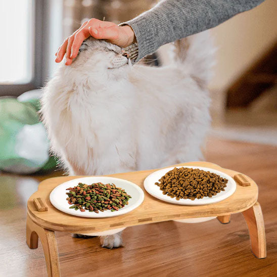 gamelle pour chat confort kittynibble