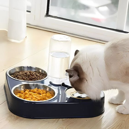 gamelle pour chat design unique duobowl