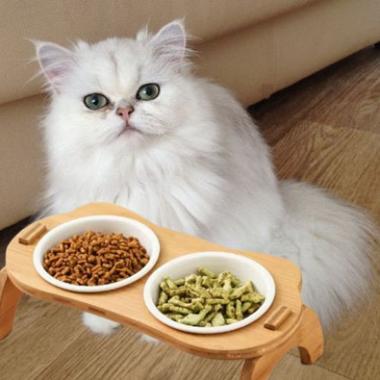 gamelle pour chat mignon kittynibble