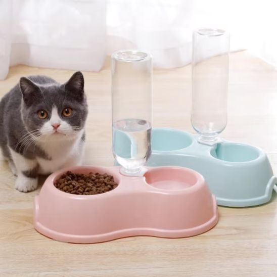 gamelle pour chat mignon purrdish