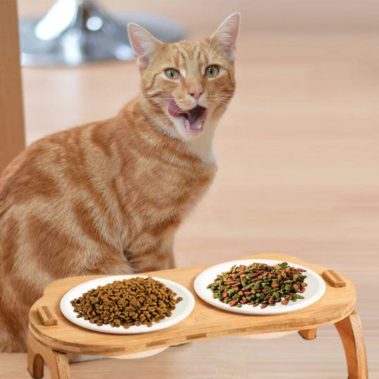 gamelle pour chat repas attrayant kittynibble