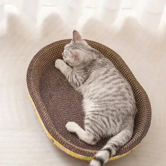 Grattoir chat - SunnyScratch™ - Vie de chats
