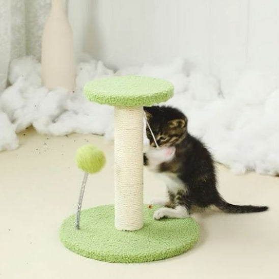 griffoir-a-chat-vert-pawplay