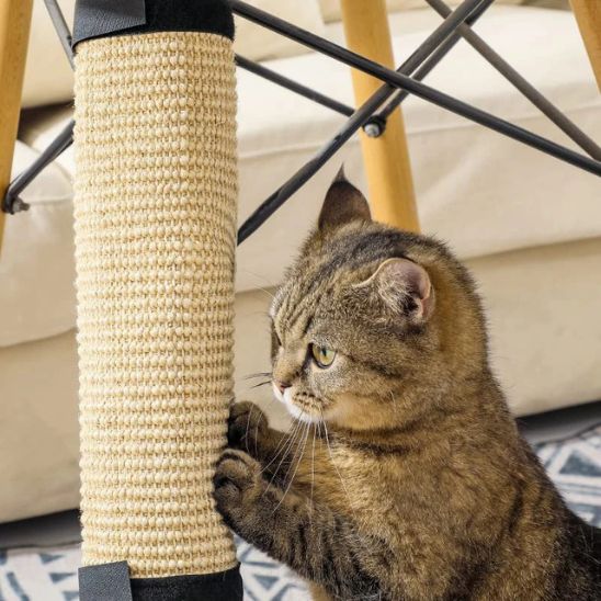 griffoir-chat-carrousel-2-clawhaven