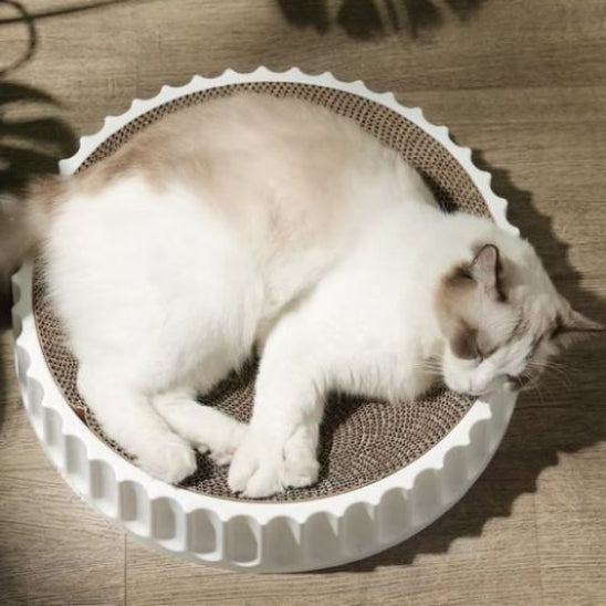 griffoir chat carton sieste pawpad