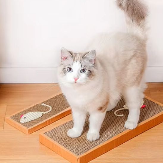 griffoir-en-carton-pour-chat-carrousel-1-tinyclaw